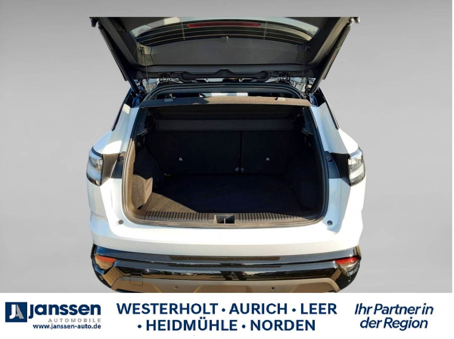 Fahrzeugabbildung Renault Austral Techno Full Hybrid E-Tech 200