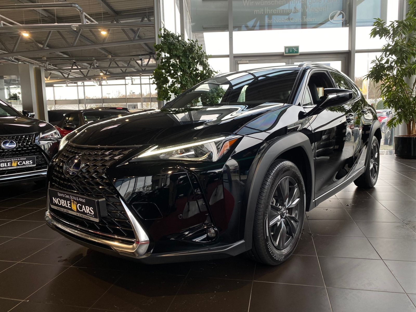 Fahrzeugabbildung Lexus UX 250h Launch Edition KLIMA LED NAV SHZ ALU