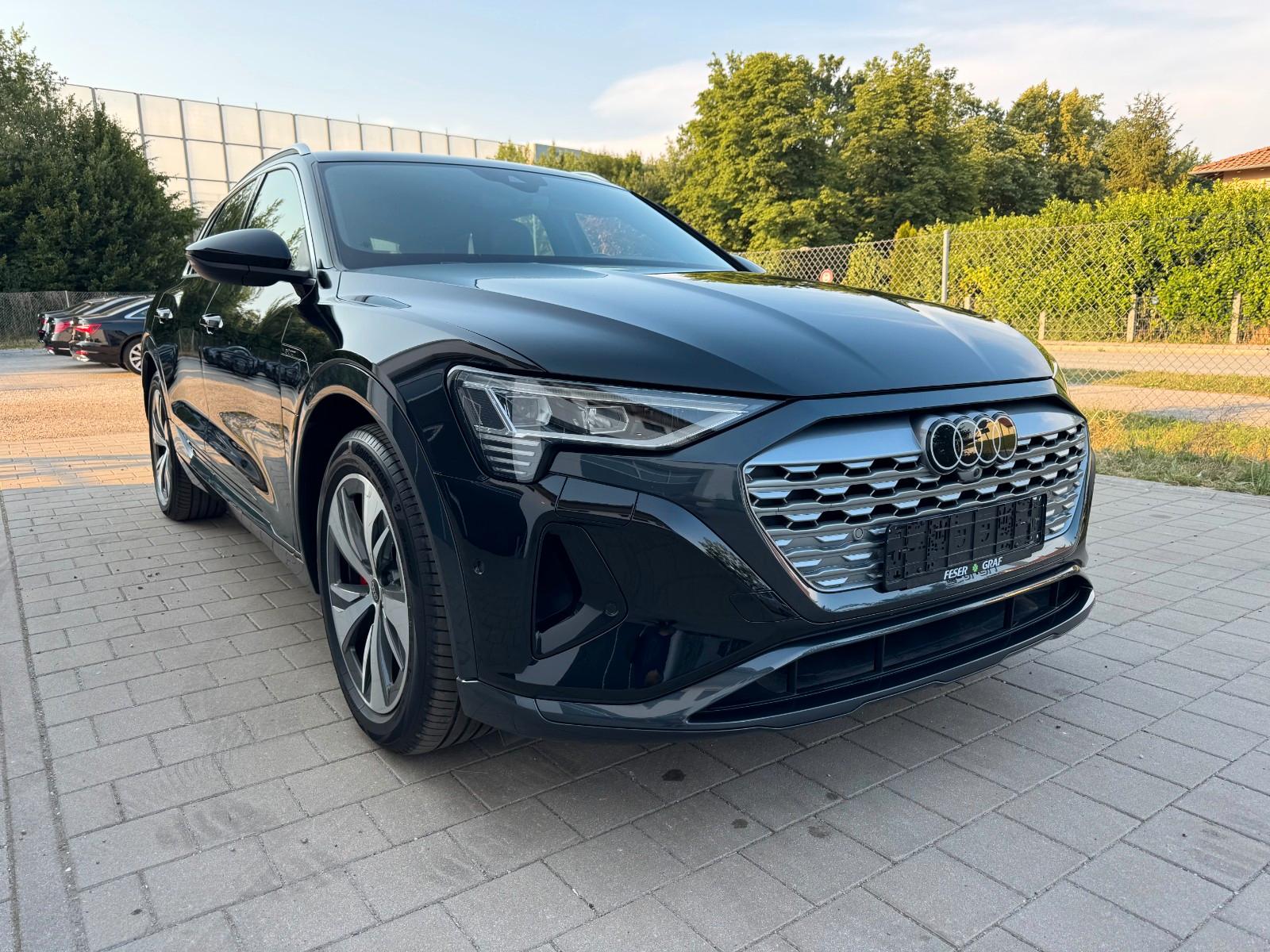 Audi Q8 e-tron quattro Matrix Memory Kamera 4 Zonen