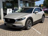 Mazda CX-30 2.0 M Hybrid Takumi Schiebedach - Mazda CX-30 Takumi mit Benzin-Antrieb