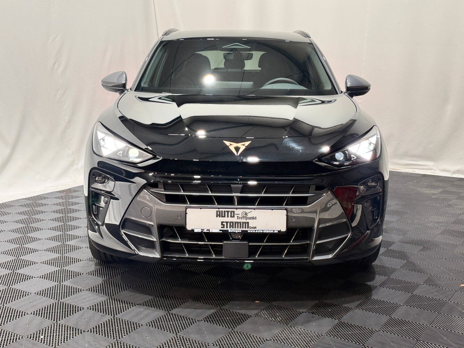 Fahrzeugabbildung CUPRA Terramar 2.0 TSI-4Drive-VZ-AHK-Memory