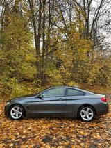 BMW 430i Coupé  - BMW 430 in Dresden