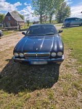 Jaguar zu verkaufen - Jaguar XJ aus 1996