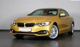 BMW 435i Cabrio AustinYellow, Leder braun, einmalig - BMW: E4