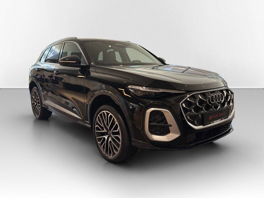 Audi SQ5 - Bild 3