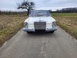 Mercedes-Benz 250 se w108 m. 280 Motor - Mercedes-Benz S 250 Gebrauchtwagen