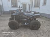 Can-Am Renegade - Quads