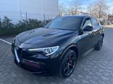 Alfa Romeo Stelvio Quadrifoglio Q4 Navi*Kam*H.Kardon*LED* - Alfa Romeo: Quadrifoglio