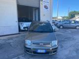 Fiat Panda 1.3 MJT 16V DPF Emotion - Fiat Panda Emotion mit Diesel-Antrieb