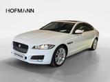 Jaguar XF20d Prestige Bi-Xenon+Ambiente+Navi+ - Jaguar XF: Limousine