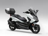 Honda Forza 350 mit Smart Top Case (NSS 350) auf Lager - HONDA NEU ROLLER