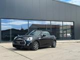 MINI Chilli Cabrio SD Keyless-Go Harman-Kardon - MINI MINI: Go