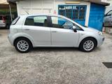 Fiat Punto Evo 1.3 MJT KM 115.000 - Fiat Punto Evo mit Diesel-Antrieb