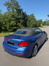 BMW 220d Cabrio, M Performance Bremsen, H&K, Kamera  - BMW 2er Reihe von privat