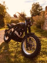 Honda Dominator Scrambler NX650 - HONDA NX 650 DOMINATOR
