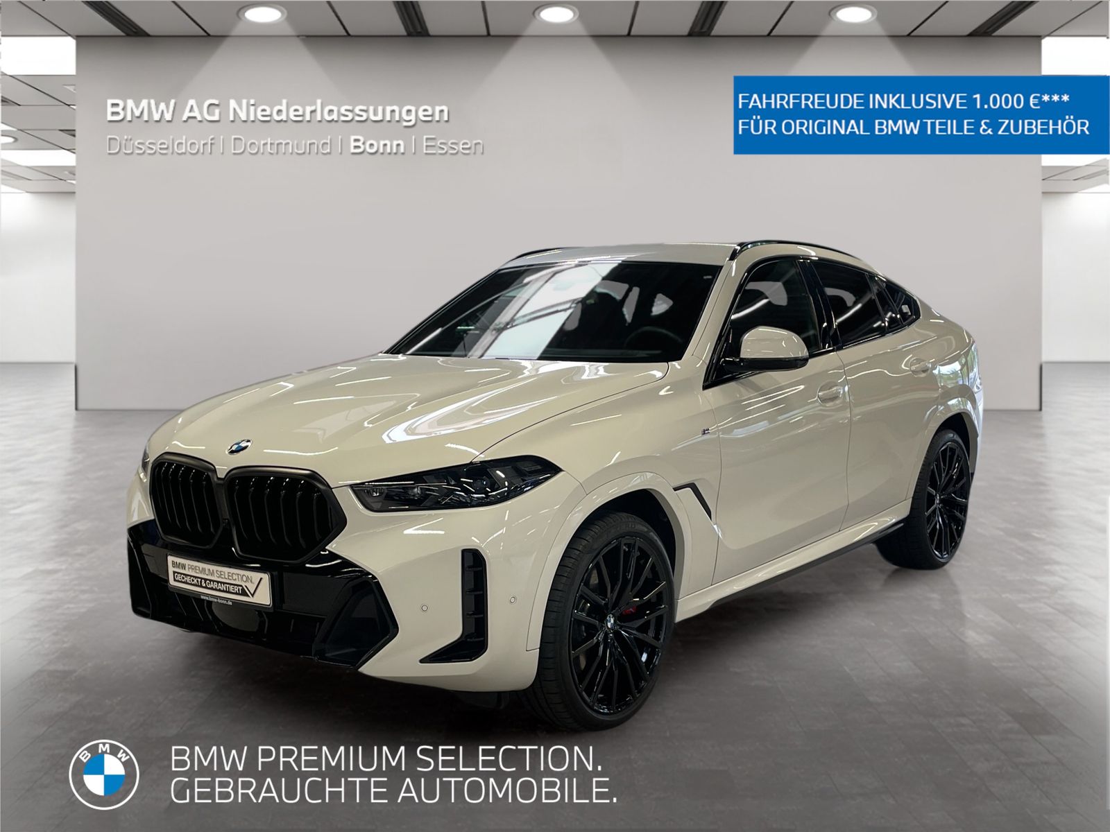 BMW X6 xDrive30d M Sport AHK Harman/K Kamera LED
