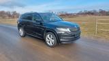Skoda Kodiaq 1.4 TSI DSG 4x4 Ambition Sportline - Skoda Kodiaq AMBITION mit Benzin-Antrieb