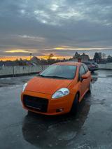 Fiat Punto 1.4 16v. TÜV Neu - Fiat Punto aus 2009: 1.4