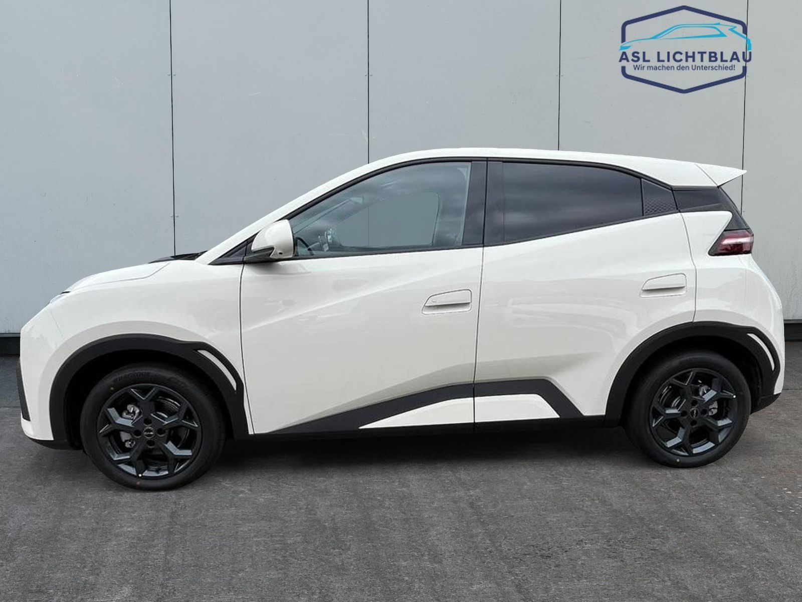BYD DOLPHIN SURF