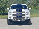 Ford F 150 USA F150 Shelby - Ford: Usa
