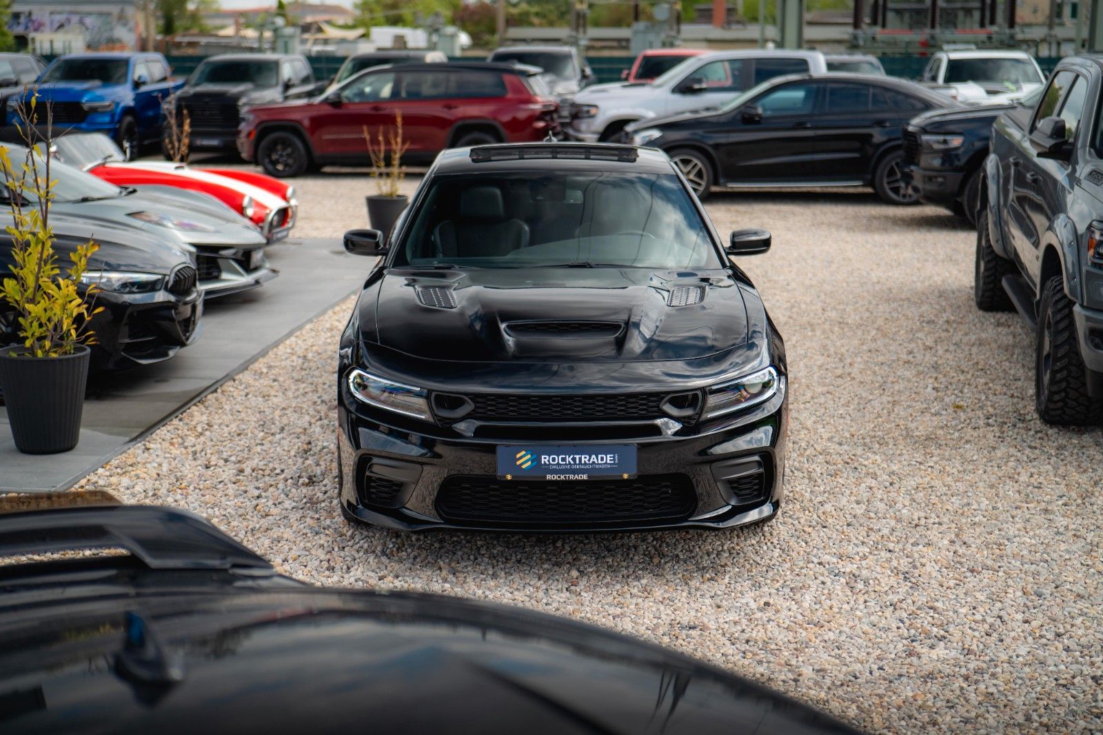 Fahrzeugabbildung Dodge Charger 3.6 4x4 GT Performance FULL Options 19%