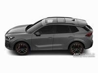 Cupra Terramar - Vorschau Bild 5