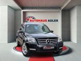 Mercedes-Benz GLK 250 CDI BlueEffi*4Matic*Nav*Pano*AHK*XEN*LED - gebrauchte Mercedes-Benz GLK 250 aus dem Jahr 2010