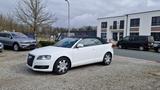 Audi A3 Cabriolet 1.9 TDI Attraction -KLIMA*NAVI*TÜV- - Audi A3 aus 2009: TDI