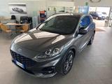 Ford FORD Kuga 2.0 EcoBlue Hybrid 150 CV 2WD ST-Line - Ford Kuga ST-Line mit Hybrid-Antrieb (Diesel-Elektro)