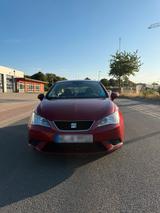 Seat Ibiza 6J mit Allwetterreifen - Seat Ibiza: J6
