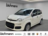 Fiat Panda Base 1.0 DAB+ USB Allwetterreifen - gebrauchte Fiat Panda aus dem Jahr 2021