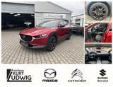 Mazda CX-30 SKYACTIV-G 2.0 M Hybrid 6GS HOMURA - Mazda CX-30 Homura mit Hybrid-Antrieb (Benzin/Elektro)