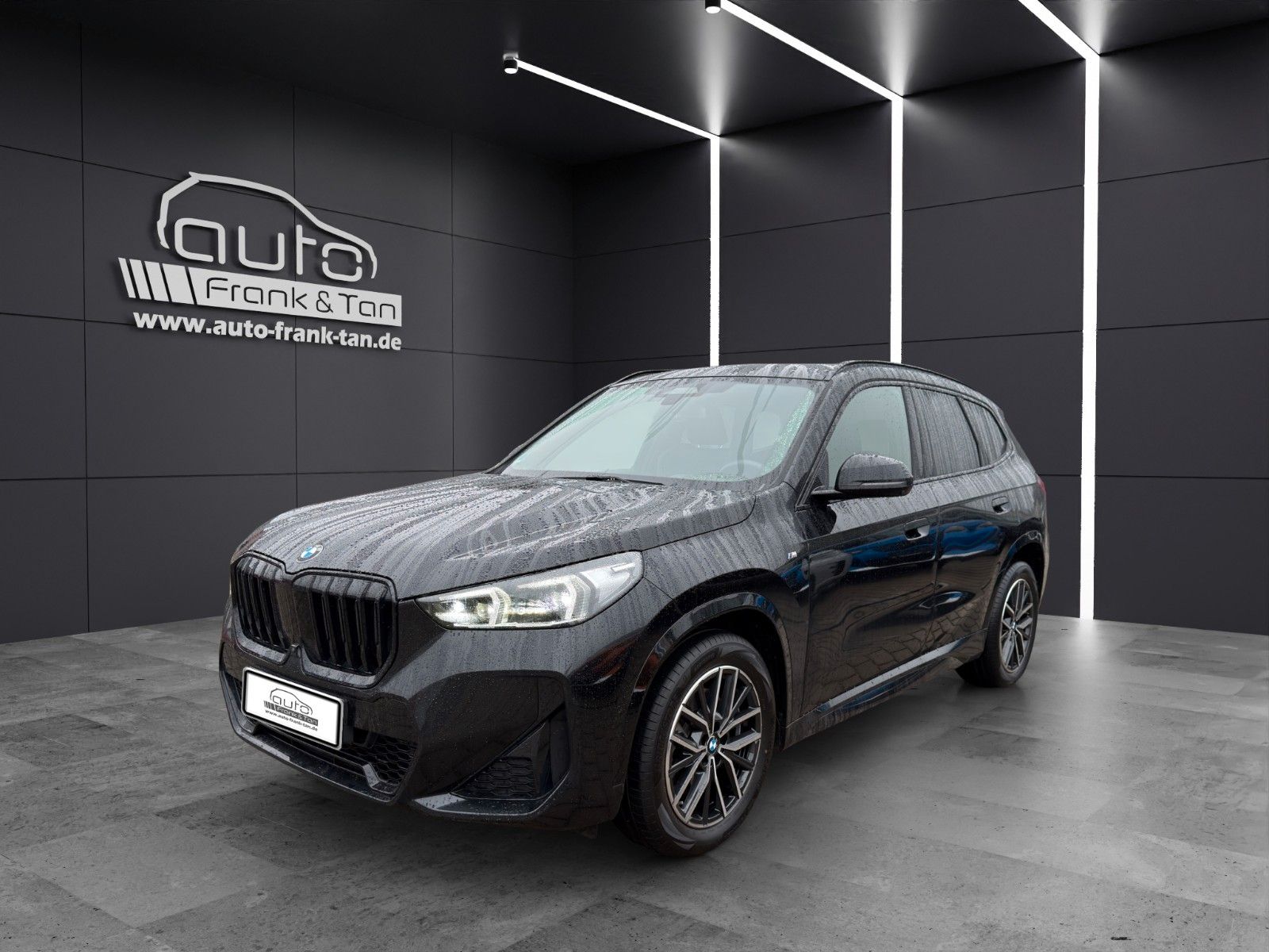 Fahrzeugabbildung BMW X1 sDrive M Sport*3DCam*Hifi*Harman*SitzHZ*DAB*