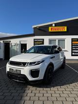 Land Rover Range Rover Evoque SE Dynamic Leder Navi 20" Pan