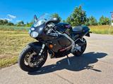 Triumph Daytona 955i scheckheftgepflegt - TRIUMPH DAYTONA 955I