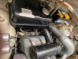 Trabant tramp - Trabant: Tramp