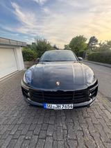 Porsche Macan GTS  - Porsche Gebrauchtwagen in Bonn