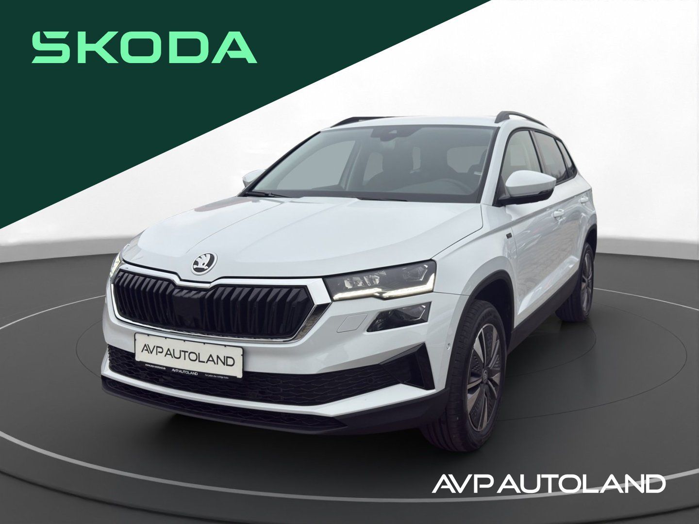 Skoda KAROQ 2.0 TDI DSG TOUR | AHK | ACC | LED |