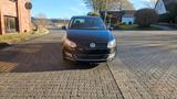 Volkswagen Polo 1.2 TSI 66kW LIFE LIFE - Volkswagen Polo aus 2013 mit Benzin-Antrieb: Kleinwagen