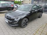Skoda Kamiq 1.5 TSI DSG Monte Carlo"AHK,el.Heckkl"