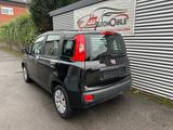 Fiat New Panda 1.2 8V KLIMAANLAGE/1.HAND - Fiat New Panda Gebrauchtwagen