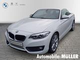 BMW 220 i Cabrio Aut. SHZG+LKRDHZG+NAVI+DAB+LED+TEMP - BMW 220: D