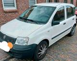 Fiat Panda 169, TÜV: 5/2028,  EZ 7/2009, 1... - Fiat Panda 169