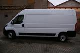 Fiat Ducato - Fiat Ducato in Erfurt