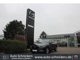 Mazda CX-30 SKY-G Selection+360°CAM+8FACH !! - Mazda CX-30 in Duisburg