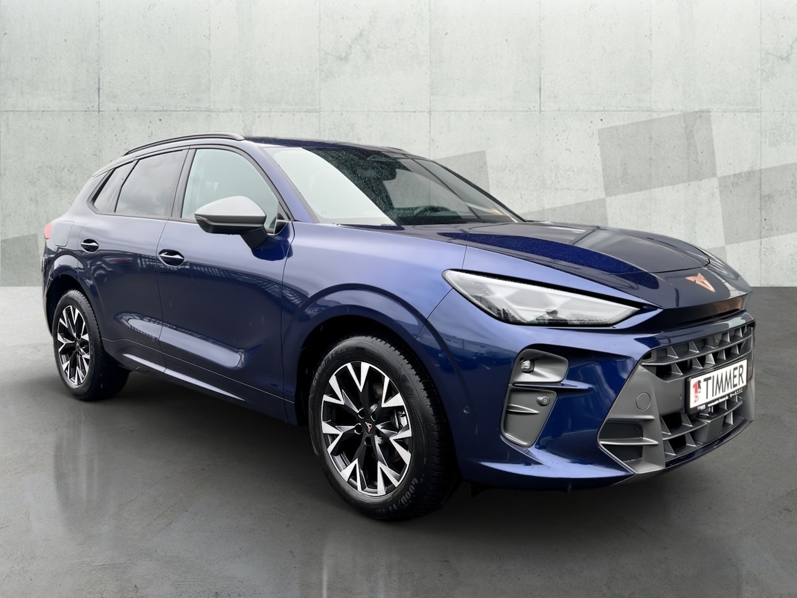 Cupra Terramar - Bild 3