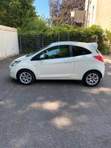 Ford FORD KA Titanium 1.2 69 PS - Ford Ka/Ka+ in Hagen