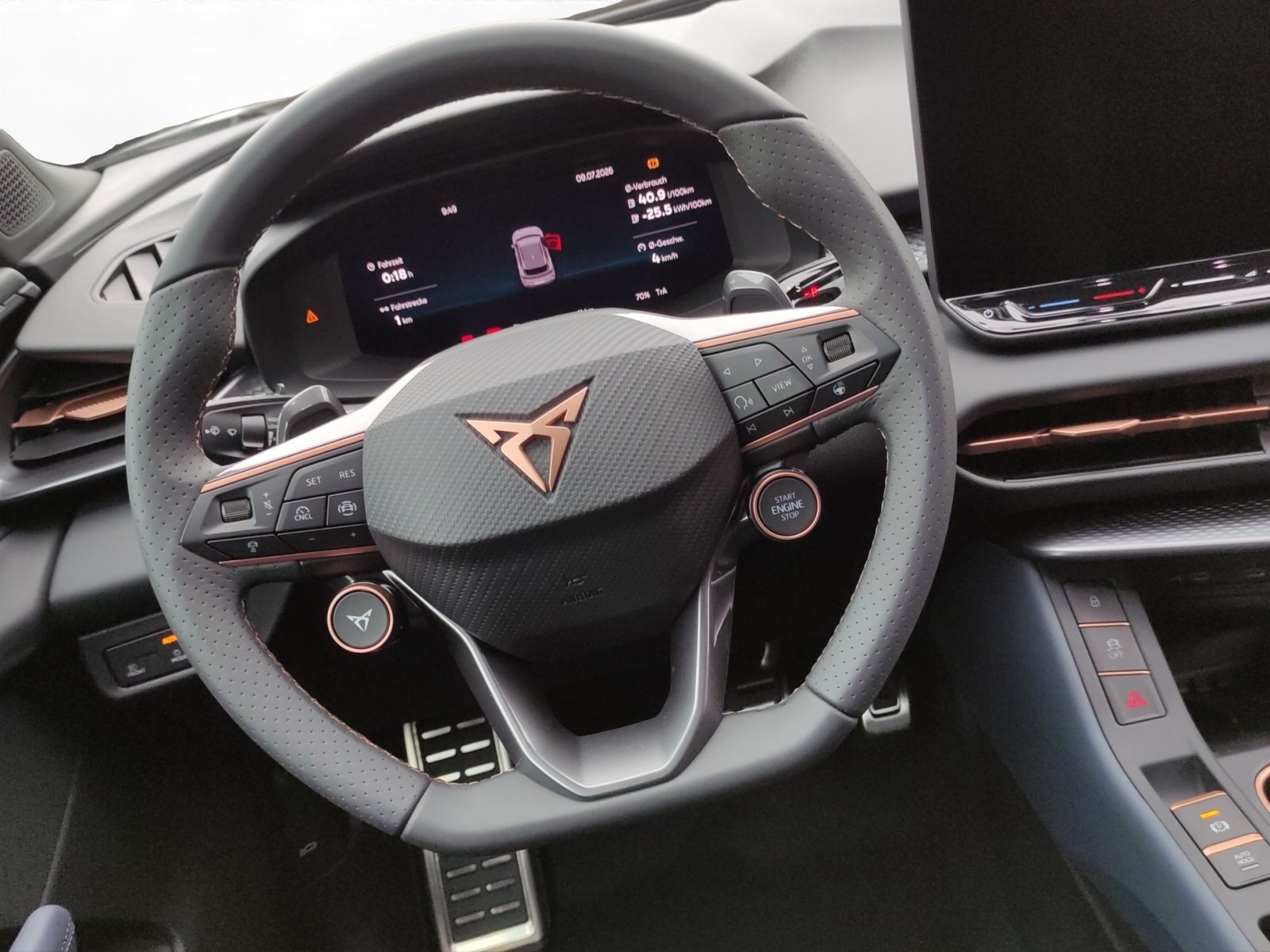 Cupra Terramar - Bild 10