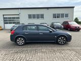 Opel Signum Edition Plus+EXPORT+GEWERBE+ - Opel Signum: Edition Plus