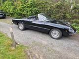Alfa Romeo Alfa Spider Fastback aus 1977 H-Zulassung - gebrauchte Alfa Romeo Spider aus dem Jahr 1977